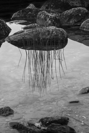 Solitude BW - NHP147 Solitude BW - NHP147